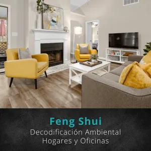 Decodificación Ambiental® con Feng Shui