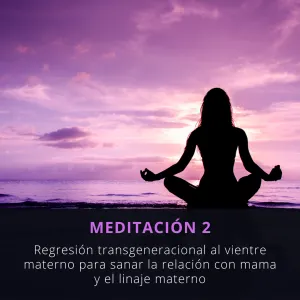 Meditación 2