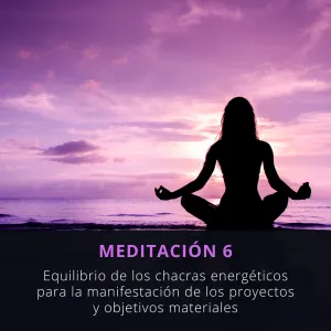 Meditación 6